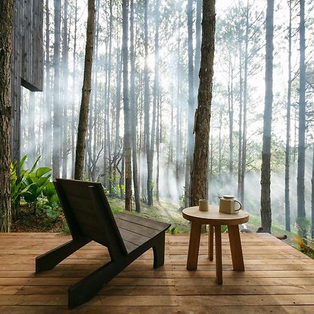 Mo Stay - Forest Resort Da Lat Eksteriør billede