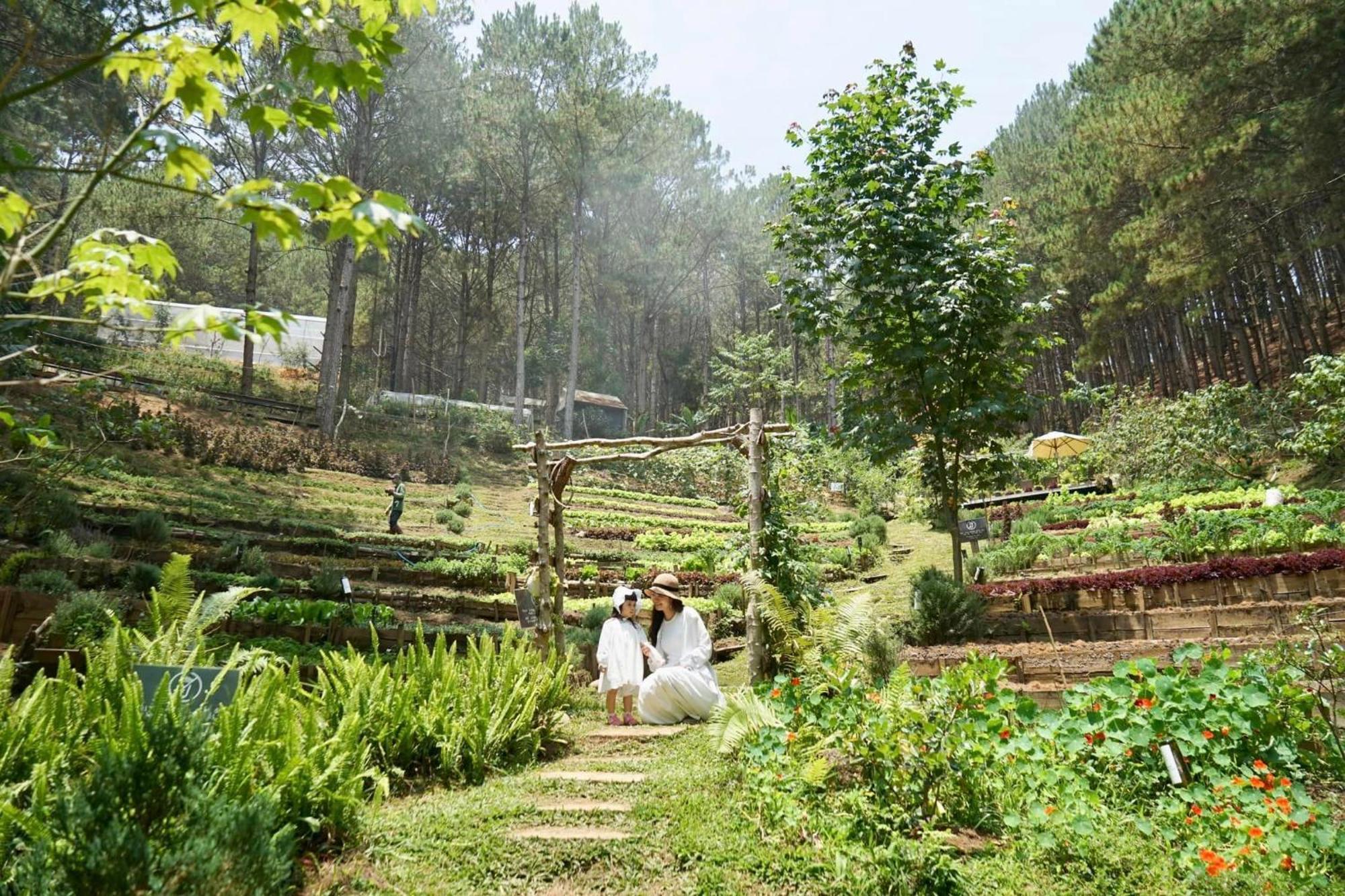 Mo Stay - Forest Resort Da Lat Eksteriør billede