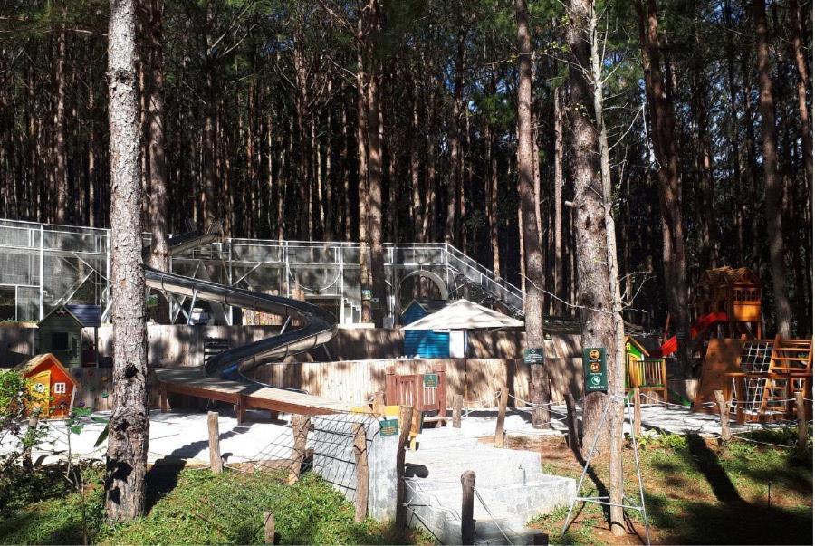 Mo Stay - Forest Resort Da Lat Eksteriør billede