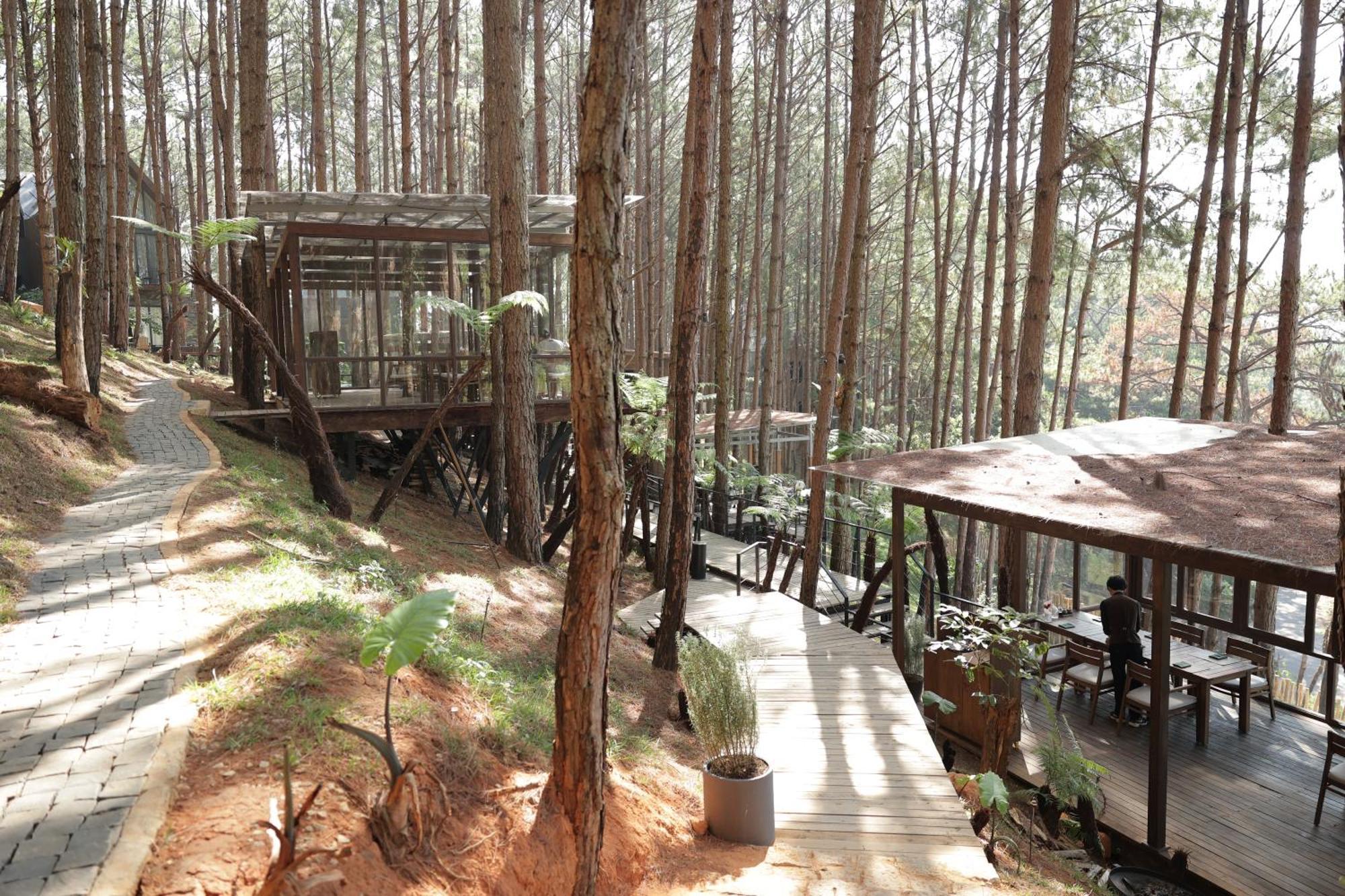 Mo Stay - Forest Resort Da Lat Eksteriør billede