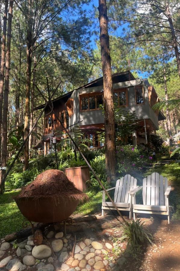 Mo Stay - Forest Resort Da Lat Eksteriør billede