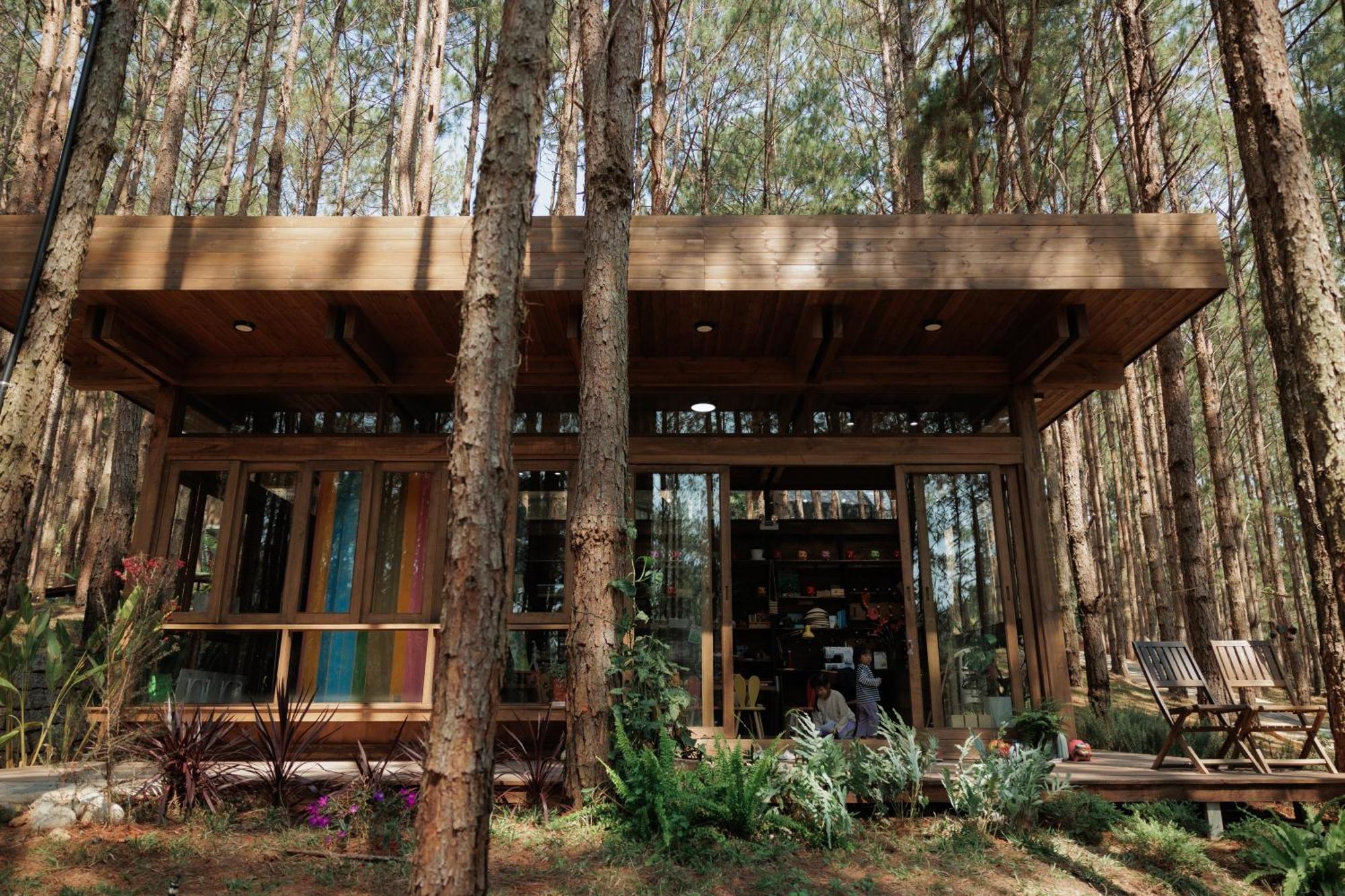Mo Stay - Forest Resort Da Lat Eksteriør billede