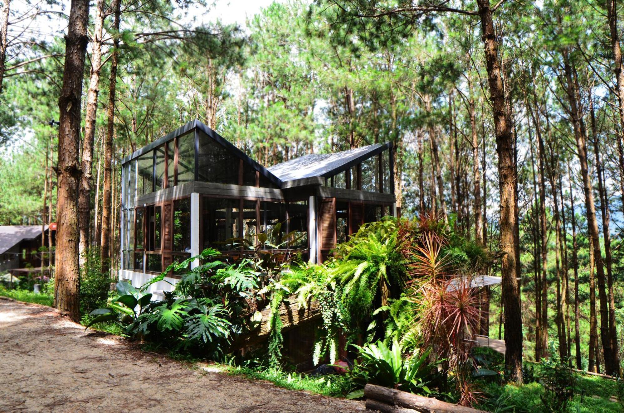 Mo Stay - Forest Resort Da Lat Eksteriør billede
