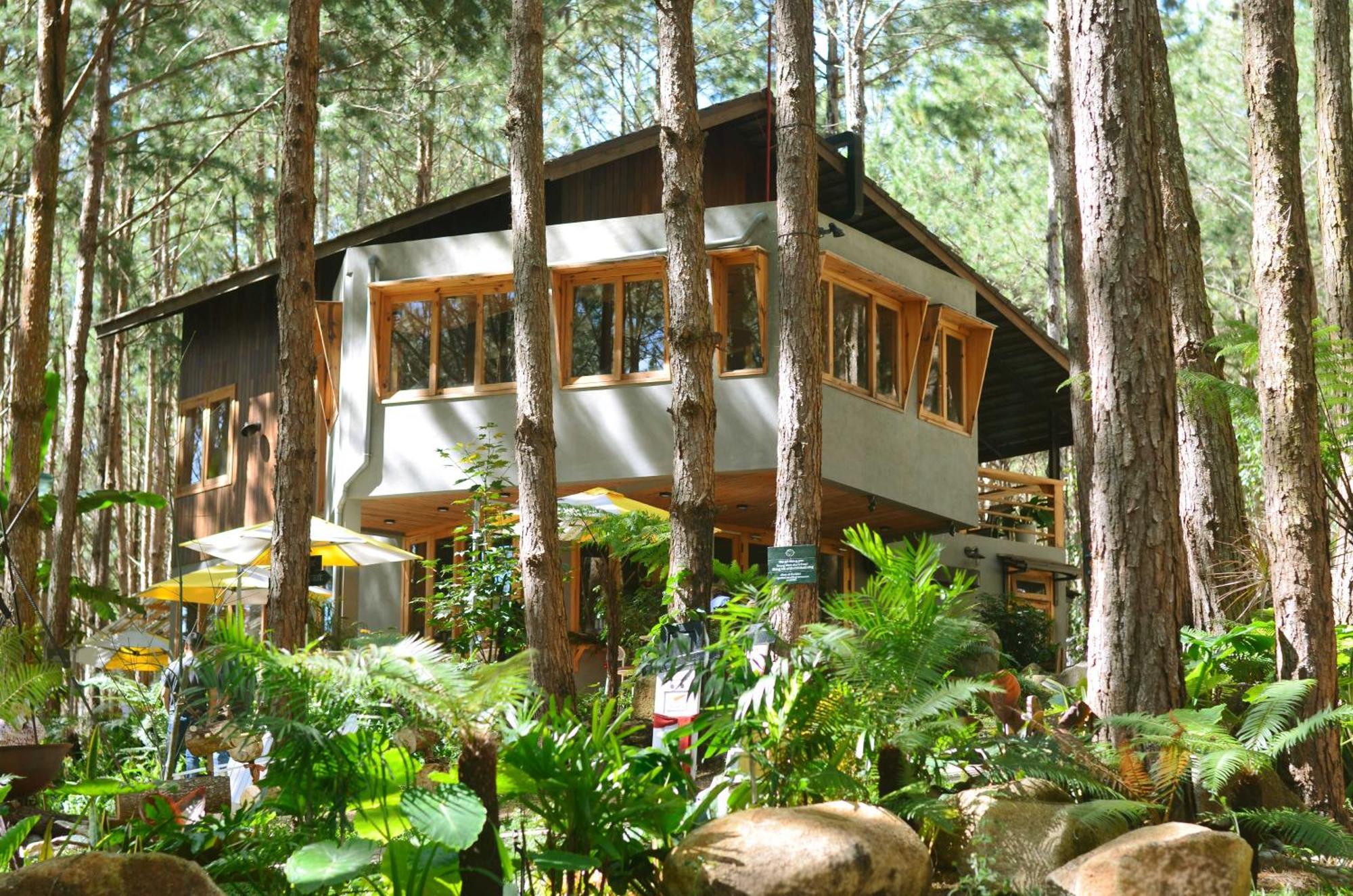 Mo Stay - Forest Resort Da Lat Eksteriør billede