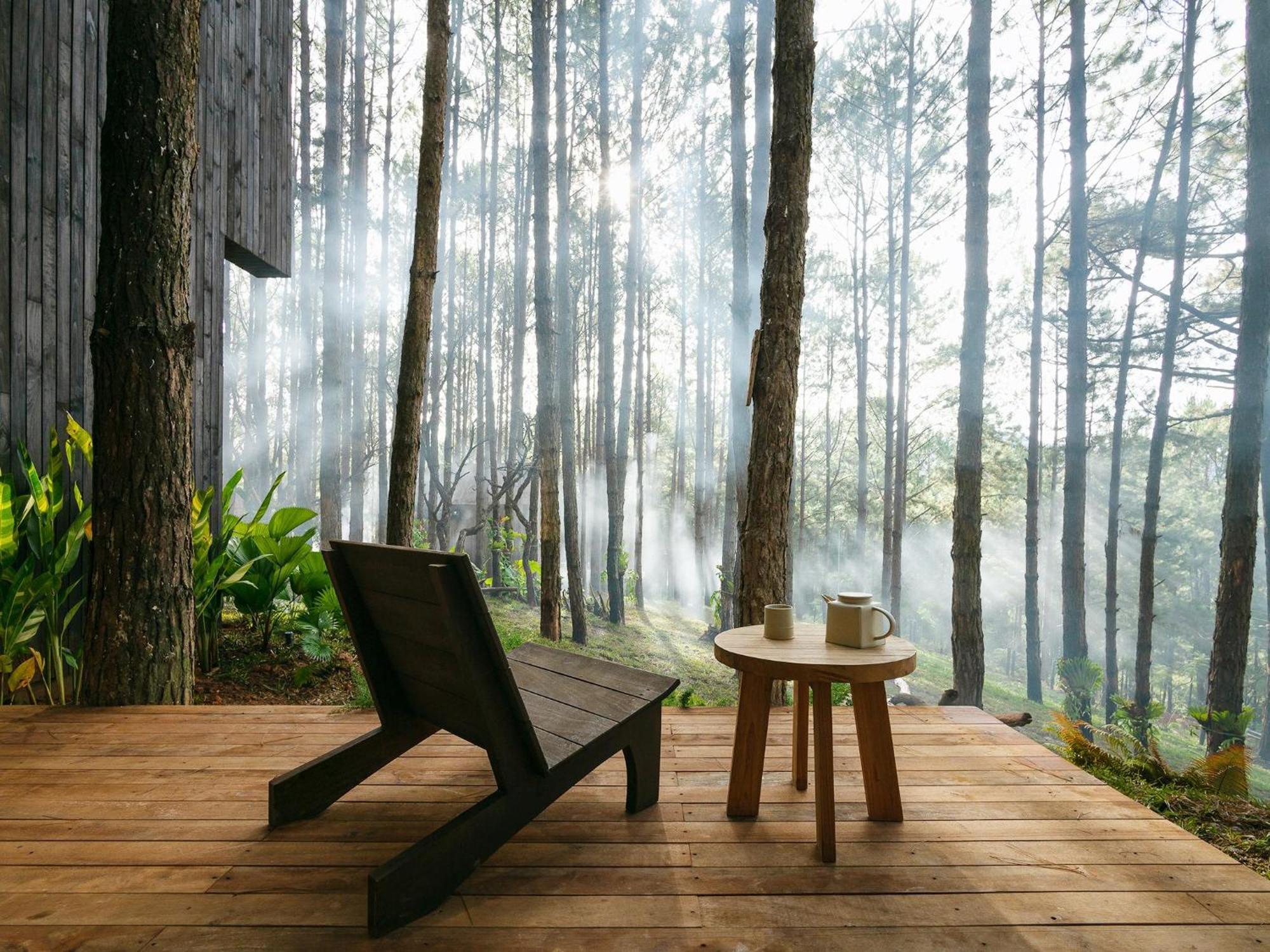 Mo Stay - Forest Resort Da Lat Eksteriør billede