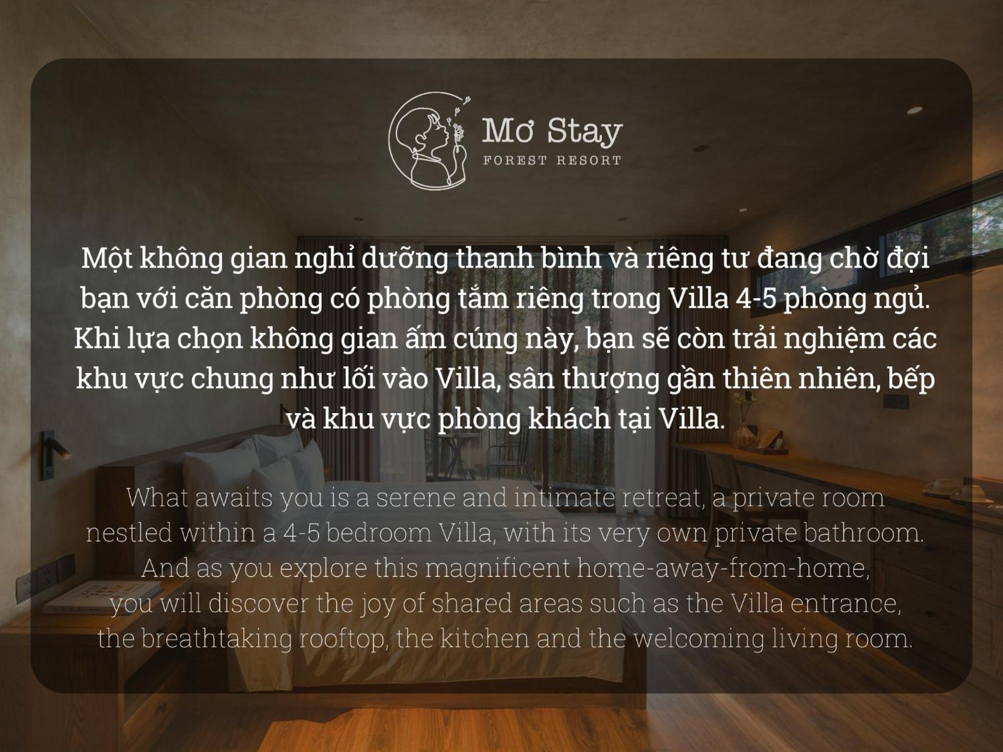 Mo Stay - Forest Resort Da Lat Eksteriør billede