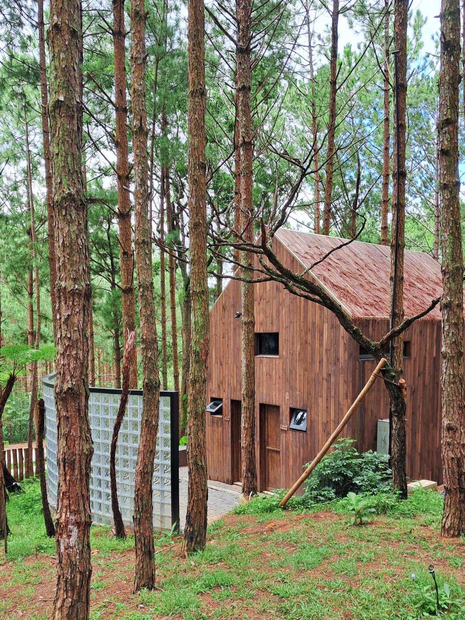 Mo Stay - Forest Resort Da Lat Eksteriør billede