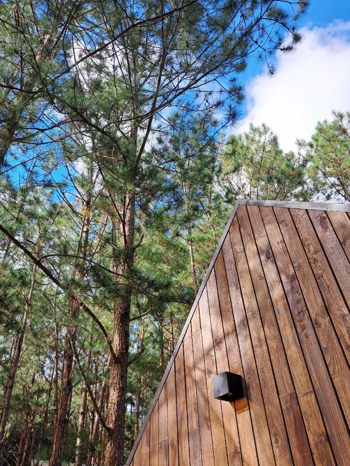 Mo Stay - Forest Resort Da Lat Eksteriør billede